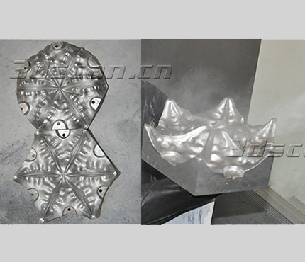 Tiger Orchid Mold 3D Scanning Case